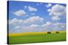 Field with Barn-null-Stretched Canvas