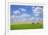 Field with Barn-null-Framed Photographic Print