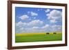 Field with Barn-null-Framed Photographic Print