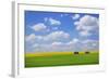 Field with Barn-null-Framed Photographic Print