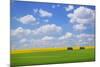 Field with Barn-null-Mounted Photographic Print