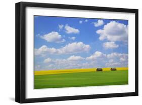 Field with Barn-null-Framed Photographic Print