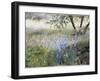 Field with Blue Flowers-Helen J. Vaughn-Framed Giclee Print