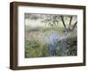 Field with Blue Flowers-Helen J. Vaughn-Framed Giclee Print