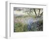 Field with Blue Flowers-Helen J. Vaughn-Framed Giclee Print