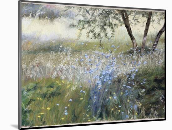 Field with Blue Flowers-Helen J. Vaughn-Mounted Giclee Print