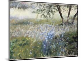 Field with Blue Flowers-Helen J. Vaughn-Mounted Giclee Print