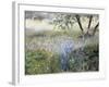 Field with Blue Flowers-Helen J. Vaughn-Framed Giclee Print