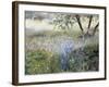 Field with Blue Flowers-Helen J. Vaughn-Framed Giclee Print