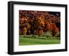 Field with Cows and Fall Color, Vermont, USA-Charles Sleicher-Framed Photographic Print