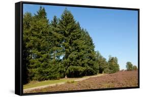 Field with Dutch Heath-Sandra van der Steen-Framed Stretched Canvas