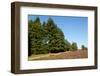 Field with Dutch Heath-Sandra van der Steen-Framed Photographic Print