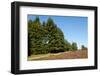 Field with Dutch Heath-Sandra van der Steen-Framed Photographic Print