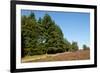 Field with Dutch Heath-Sandra van der Steen-Framed Photographic Print