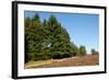 Field with Dutch Heath-Sandra van der Steen-Framed Photographic Print