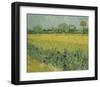 Field with Flowers Near Arles, 1888-Vincent van Gogh-Framed Giclee Print