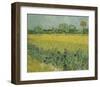 Field with Flowers Near Arles, 1888-Vincent van Gogh-Framed Giclee Print