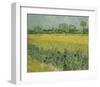 Field with Flowers Near Arles, 1888-Vincent van Gogh-Framed Giclee Print