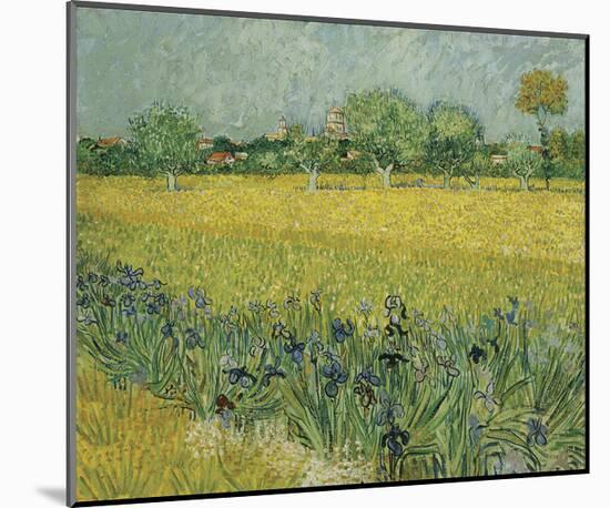 Field with Flowers Near Arles, 1888-Vincent van Gogh-Mounted Giclee Print