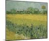 Field with Flowers Near Arles, 1888-Vincent van Gogh-Mounted Giclee Print