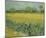 Field with Flowers Near Arles, 1888-Vincent van Gogh-Mounted Giclee Print