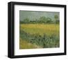 Field with Flowers Near Arles, 1888-Vincent van Gogh-Framed Art Print