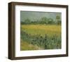 Field with Flowers Near Arles, 1888-Vincent van Gogh-Framed Art Print