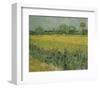 Field with Flowers Near Arles, 1888-Vincent van Gogh-Framed Art Print
