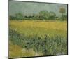 Field with Flowers Near Arles, 1888-Vincent van Gogh-Mounted Art Print