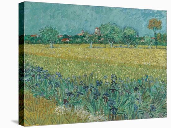 Field with Flowers near Arles, 1888-Vincent van Gogh-Stretched Canvas