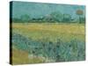 Field with Flowers near Arles, 1888-Vincent van Gogh-Stretched Canvas