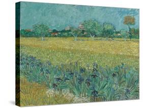 Field with Flowers near Arles, 1888-Vincent van Gogh-Stretched Canvas