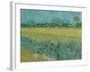 Field with Flowers near Arles, 1888-Vincent van Gogh-Framed Giclee Print