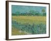 Field with Flowers near Arles, 1888-Vincent van Gogh-Framed Giclee Print