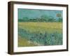 Field with Flowers near Arles, 1888-Vincent van Gogh-Framed Giclee Print