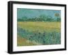 Field with Flowers near Arles, 1888-Vincent van Gogh-Framed Giclee Print