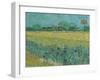 Field with Flowers near Arles, 1888-Vincent van Gogh-Framed Giclee Print