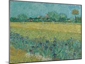 Field with Flowers near Arles, 1888-Vincent van Gogh-Mounted Giclee Print