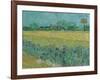 Field with Flowers near Arles, 1888-Vincent van Gogh-Framed Giclee Print