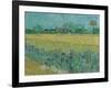 Field with Flowers near Arles, 1888-Vincent van Gogh-Framed Giclee Print