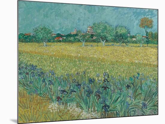 Field with Flowers near Arles, 1888-Vincent van Gogh-Mounted Giclee Print