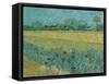 Field with Flowers near Arles, 1888-Vincent van Gogh-Framed Stretched Canvas