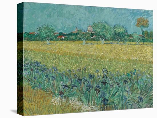 Field with Flowers near Arles, 1888-Vincent van Gogh-Stretched Canvas
