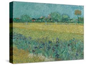 Field with Flowers near Arles, 1888-Vincent van Gogh-Stretched Canvas