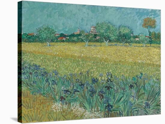 Field with Flowers near Arles, 1888-Vincent van Gogh-Stretched Canvas