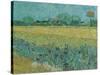 Field with Flowers near Arles, 1888-Vincent van Gogh-Stretched Canvas