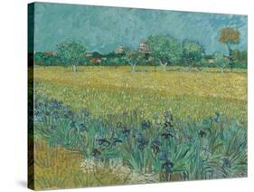 Field with Flowers near Arles, 1888-Vincent van Gogh-Stretched Canvas