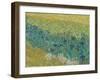 Field With Irises Near Arles - Focus-Van Gogh Vincent-Framed Giclee Print