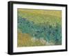 Field With Irises Near Arles - Focus-Van Gogh Vincent-Framed Giclee Print