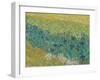 Field With Irises Near Arles - Focus-Van Gogh Vincent-Framed Giclee Print